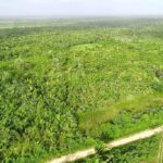 listing image thumbnail with ID 22514