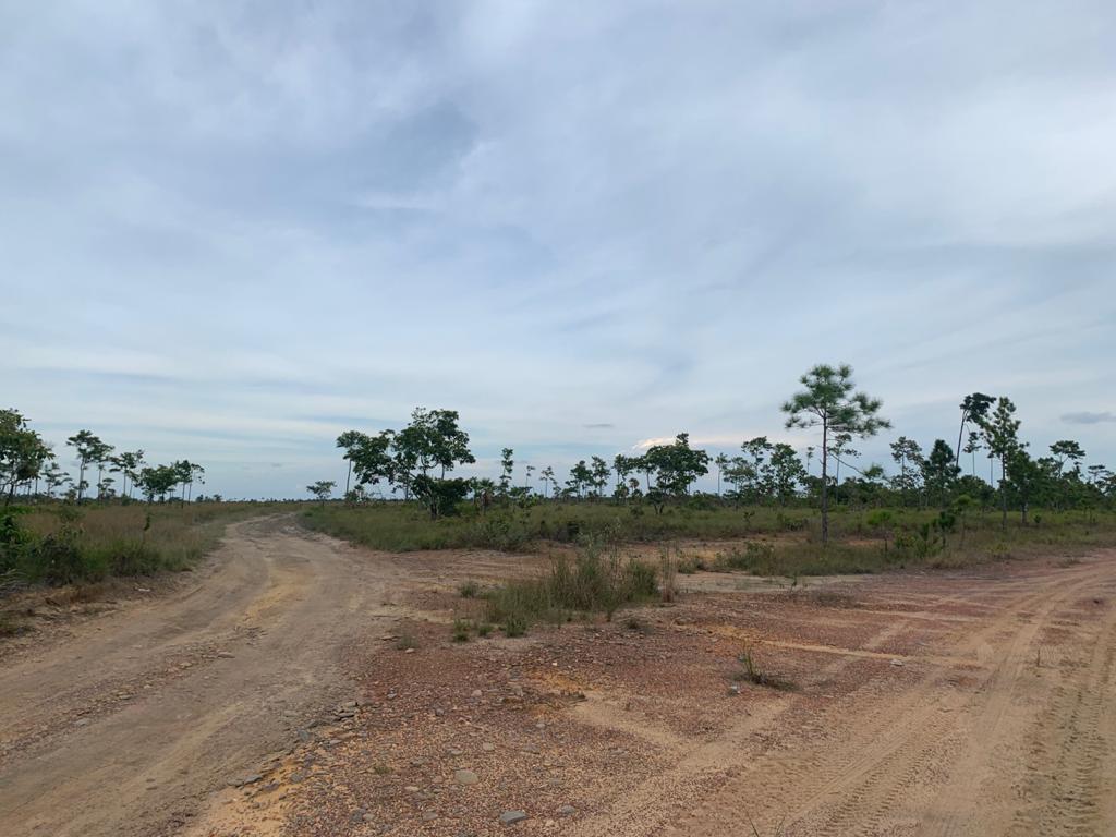 listing image with ID 17111