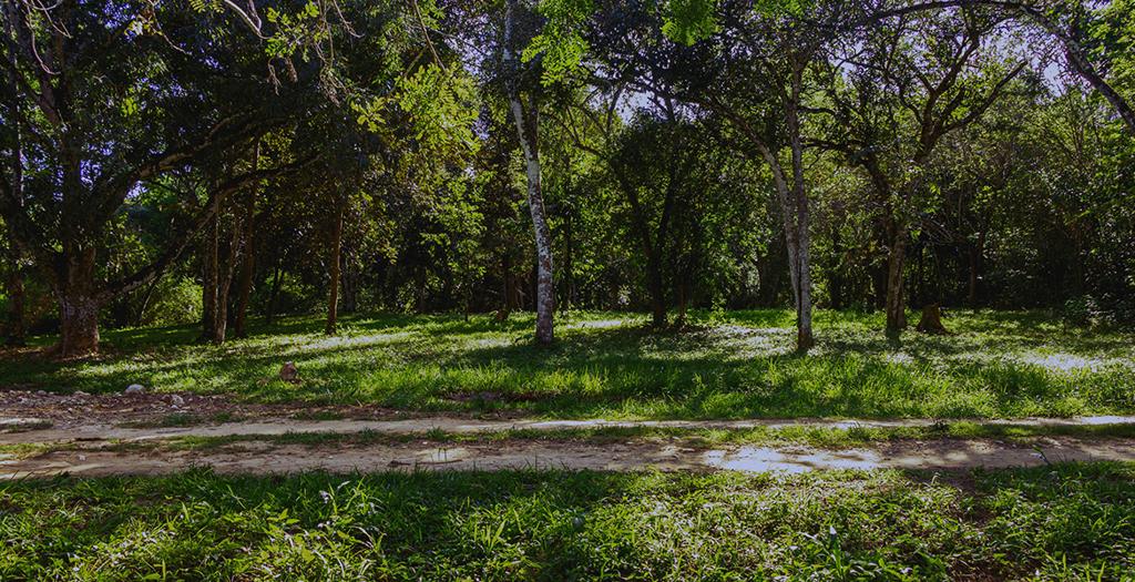 listing image with ID 14589