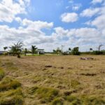 listing image thumbnail with ID 24784