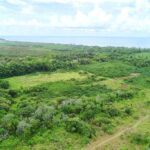 listing image thumbnail with ID 21959