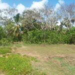 listing image thumbnail with ID 21887