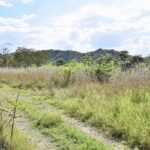 listing image thumbnail with ID 21734