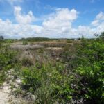 listing image thumbnail with ID 25643