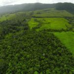 listing image thumbnail with ID 23341