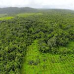 listing image thumbnail with ID 23357