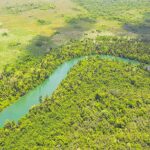 listing image thumbnail with ID 22772