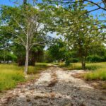 listing image thumbnail with ID 25568