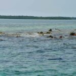 listing image thumbnail with ID 25530