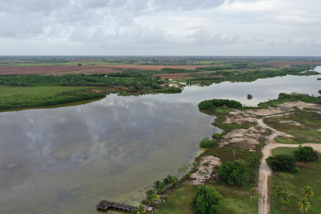 listing image with ID 16814