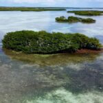 listing image thumbnail with ID 23008