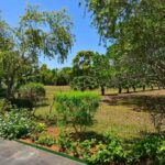 listing image thumbnail with ID 25345