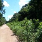 listing image thumbnail with ID 21988