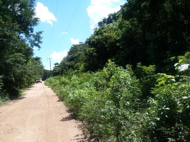 listing image with ID 21988
