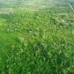 listing image thumbnail with ID 22516