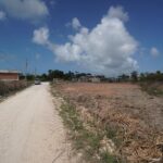 listing image thumbnail with ID 20956