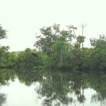 listing image thumbnail with ID 23295