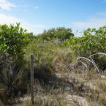 listing image thumbnail with ID 27020