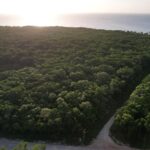 listing image thumbnail with ID 21981