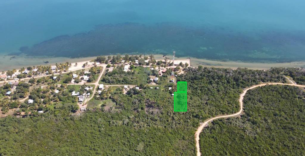 listing image with ID 14811