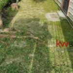 listing image thumbnail with ID 19294