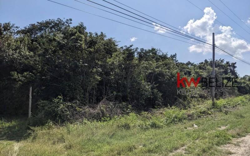 listing image with ID 9811