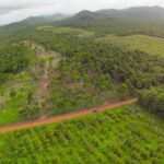 listing image thumbnail with ID 23365