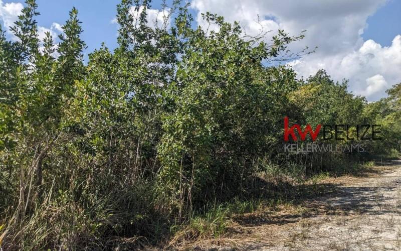 listing image with ID 9813
