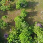 listing image thumbnail with ID 23667