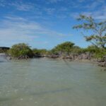 listing image thumbnail with ID 27015