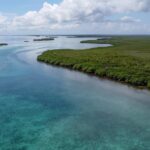 listing image thumbnail with ID 22994