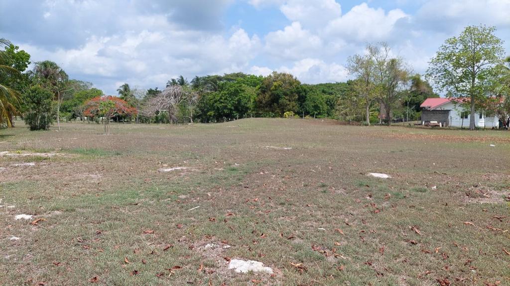 listing image with ID 25013
