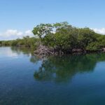 listing image thumbnail with ID 24208