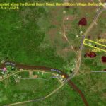 listing image thumbnail with ID 22370