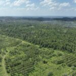 listing image thumbnail with ID 21441