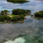 listing image thumbnail with ID 23000