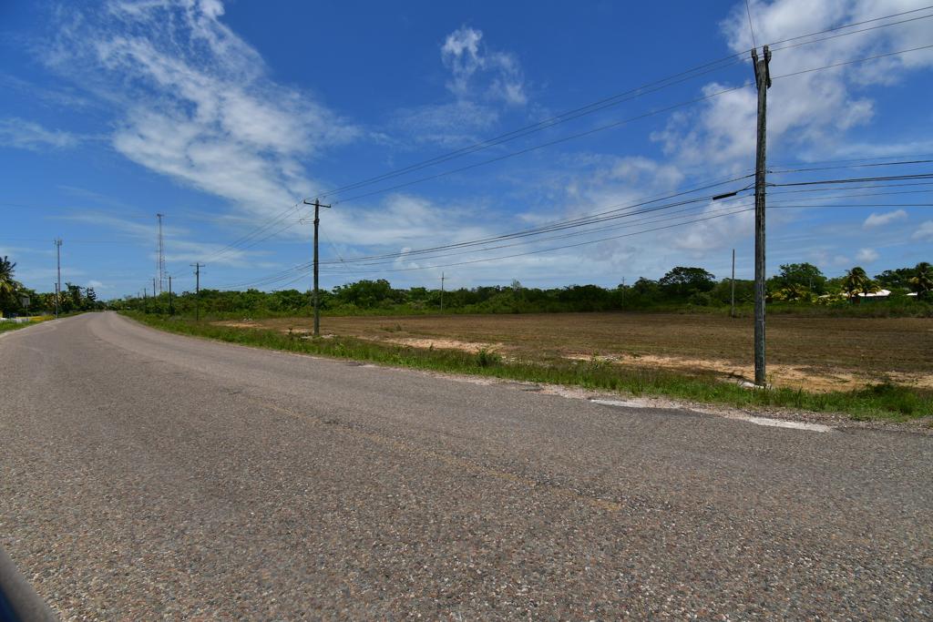 listing image with ID 25426