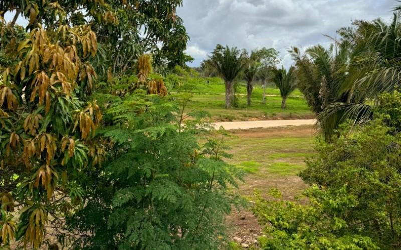 listing image with ID 10744