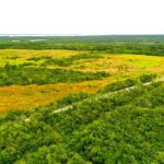 listing image thumbnail with ID 22388