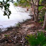 listing image thumbnail with ID 21859