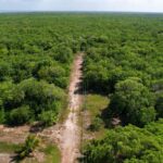 listing image thumbnail with ID 22853