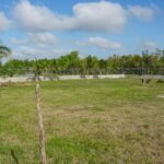 listing image thumbnail with ID 22259