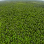 listing image thumbnail with ID 23325