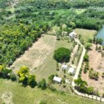 listing image thumbnail with ID 25333