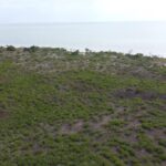 listing image thumbnail with ID 27012