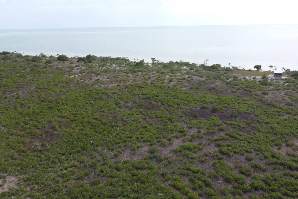 listing image with ID 27012