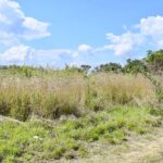 listing image thumbnail with ID 21732