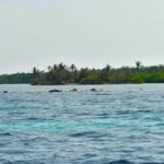 listing image thumbnail with ID 25536