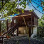 listing image thumbnail with ID 21799