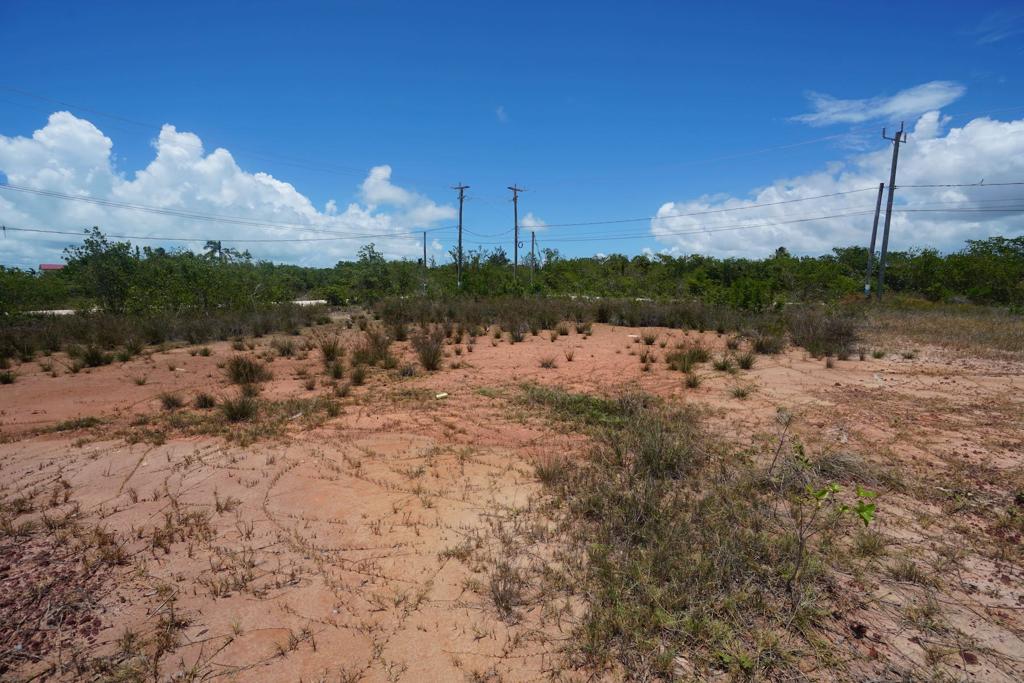 listing image with ID 25638